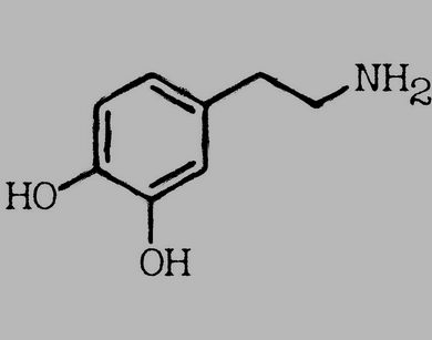 Was ist Dopamin?